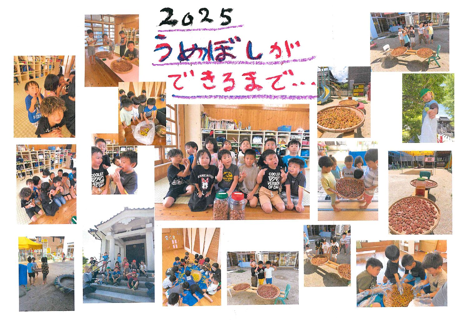 2025梅干しができるまで